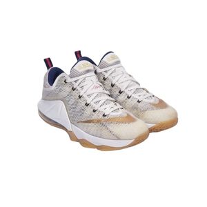 Nike Lebron 12 Low USA